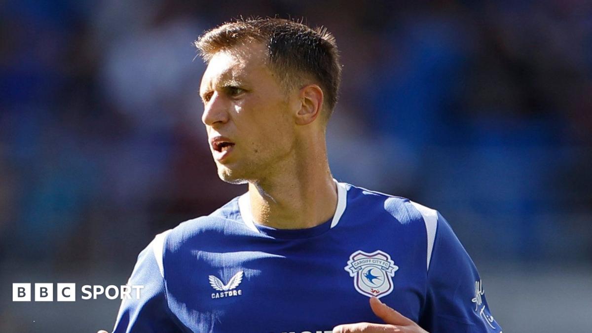 Cardiff can reach Championship play-offs - Bielik