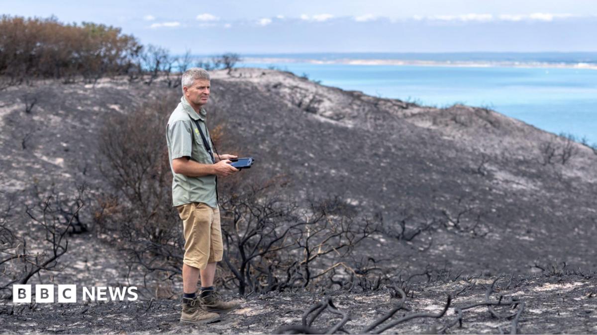 'Upsetting' that camp fire likely led to rare habitat blaze