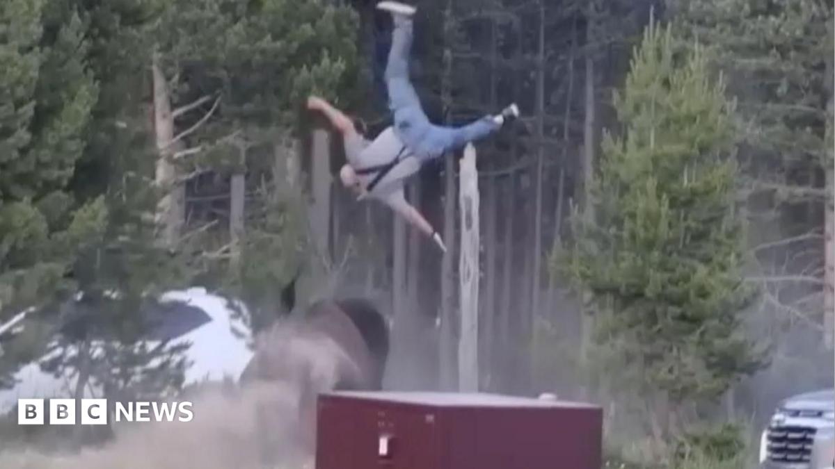 'He launched me in the air' -  Grandfather recounts terrifying Yellowstone Park bison attack