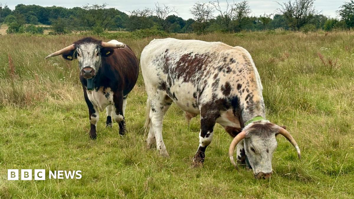 Nature spaces 'need to be next to where people live'