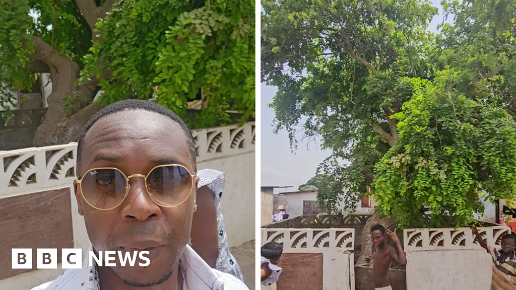 'This tree was planted by my ancestor hundreds of years ago and my family settled here'