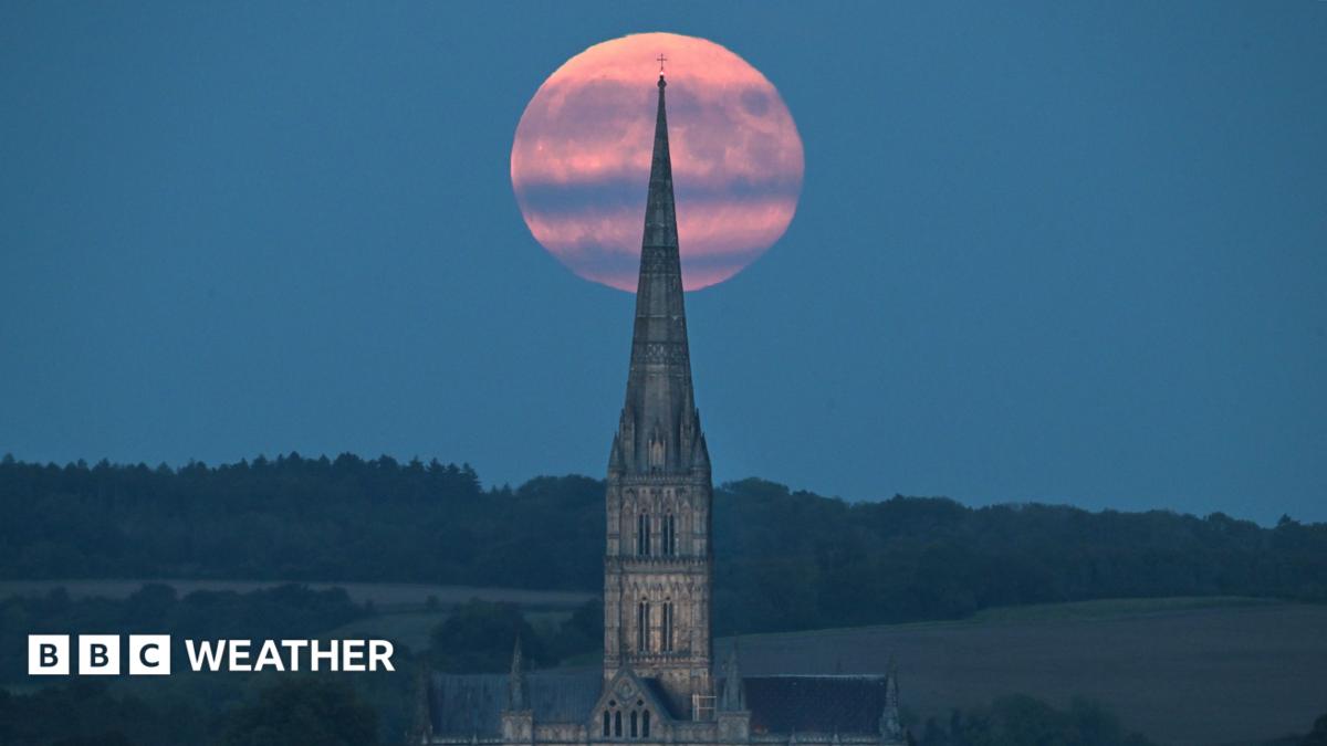When and how to see the Harvest Moon in 2026