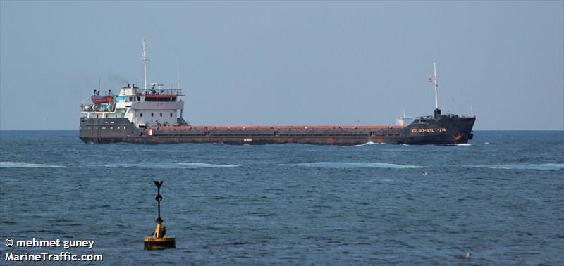Russian Grain Ship Sinks in Sea of Azov After Suspected Drone Strike, Raising Risks to Shipping