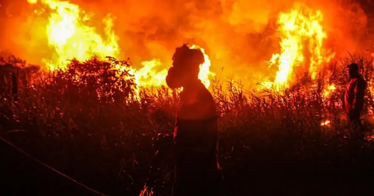 Warning of record global temperatures as chance of very strong El Nino increases