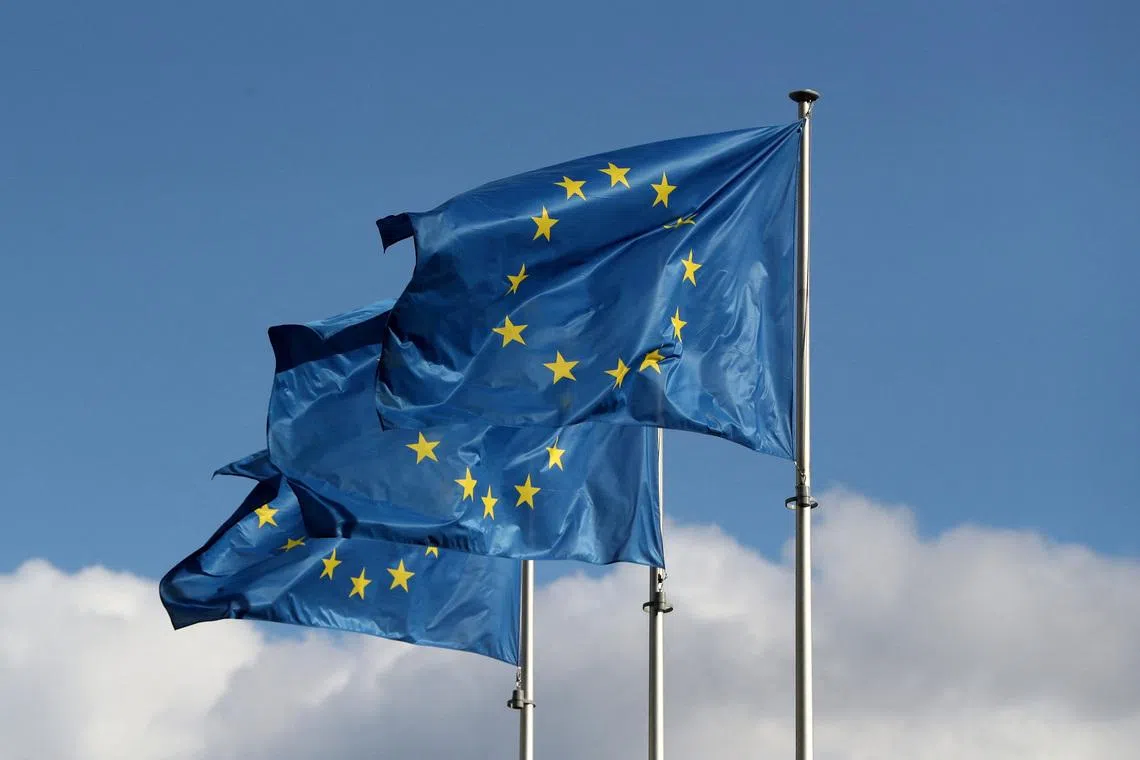 Five EU countries float safeguards for future EU members