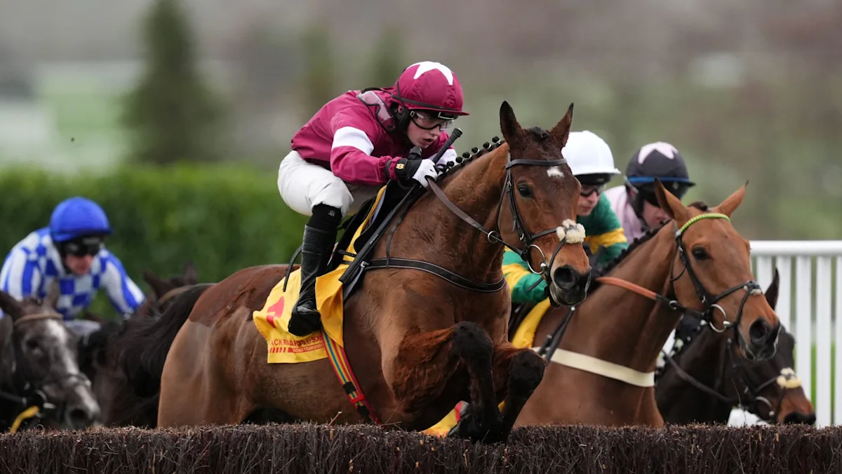 Gold Dancer suffers fatal injury in Aintree victory