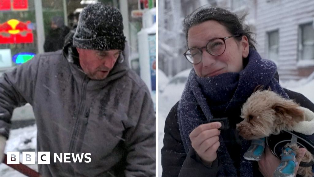 'Exciting' or 'Frustrating'? - East coast locals and tourists react to record snow