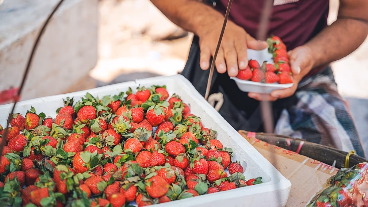 Berry good for you: Why flavanols are key to a heart-healthy diet