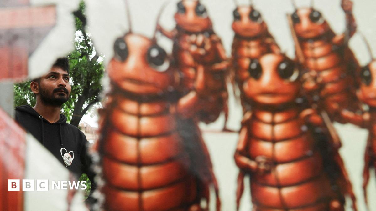 Indian police cracked down on 'cockroach' protesters. They went home and made memes about it