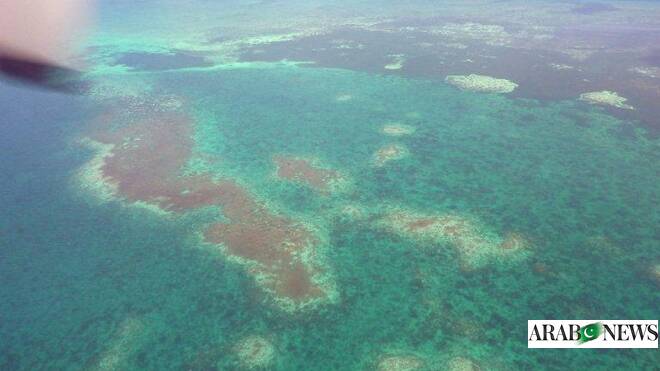Chinese ship leaves after tense standoff near Taiwan-controlled islands