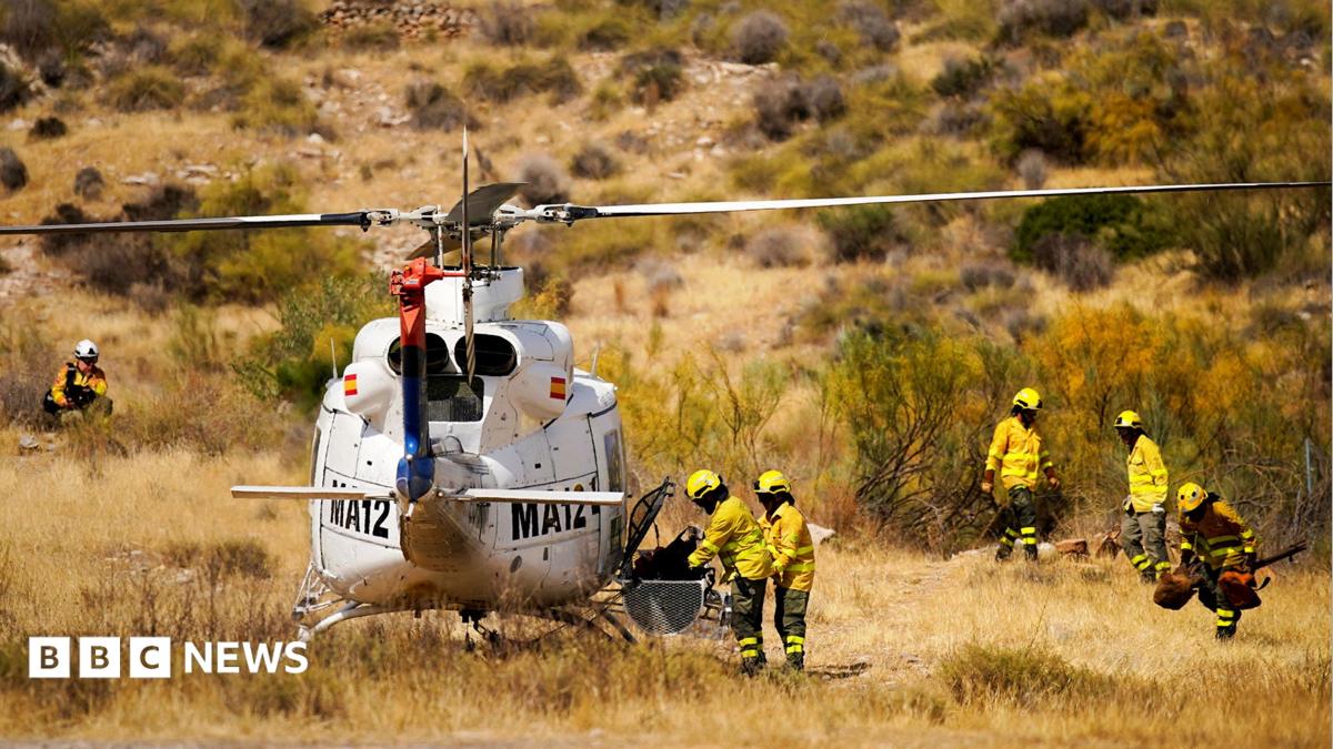 Seven Britons among those killed in Spain wildfires