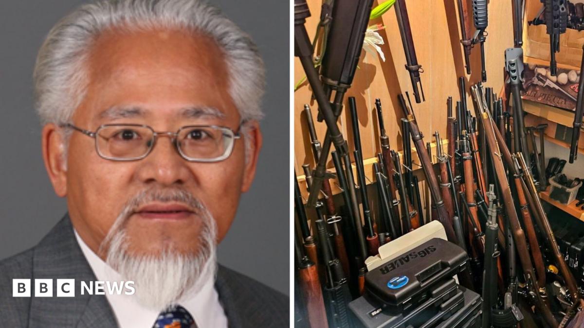 Ex-Canada MP arrested after police seize 439 guns and antique cannon from his home