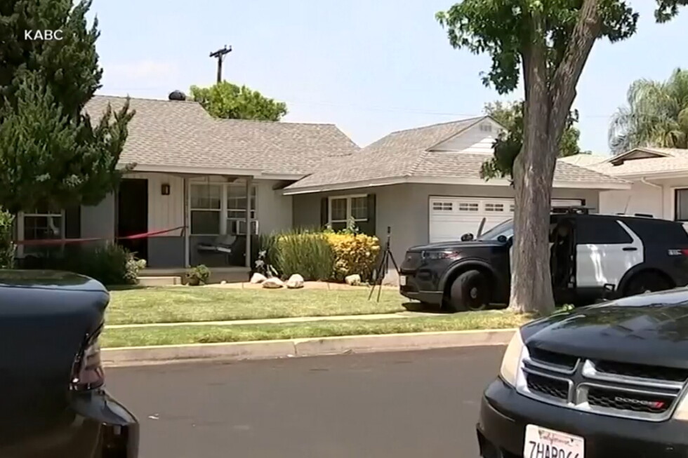 After actor James Handy's stabbing death, his girlfriend's son is charged with murder