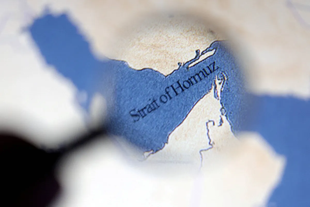 Ukraine Can Play Useful Role in Strait of Hormuz, Britain Says