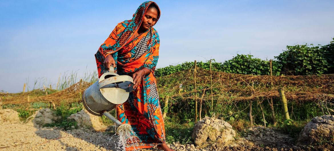 ‘Clock is ticking’: Hormuz disruption raises fears of global food crisis