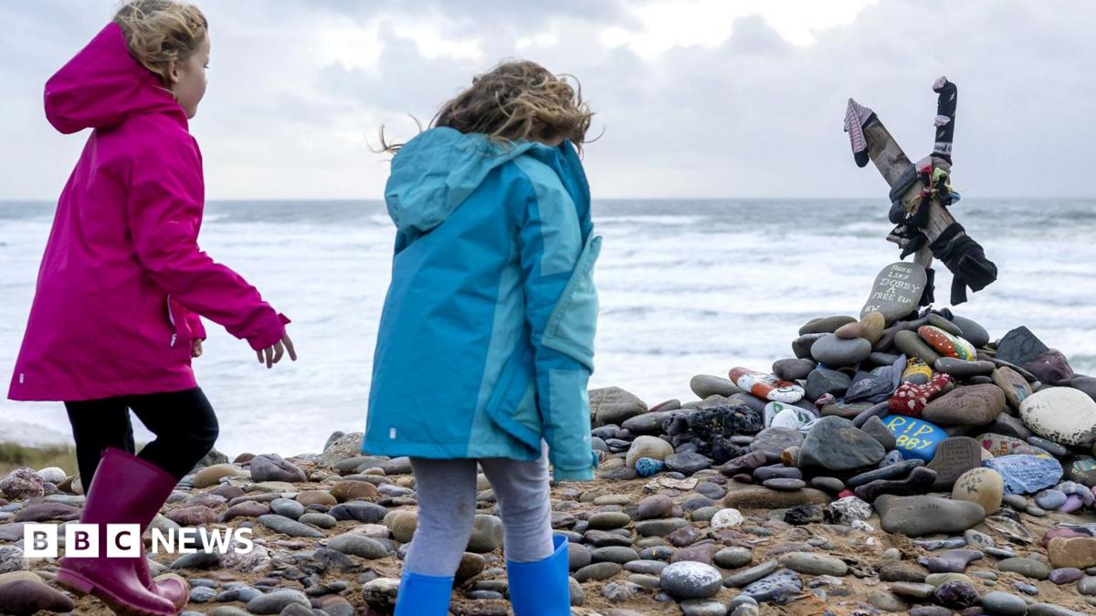 Harry Potter fans force diversion of UK-Ireland power link to avoid Dobby's grave