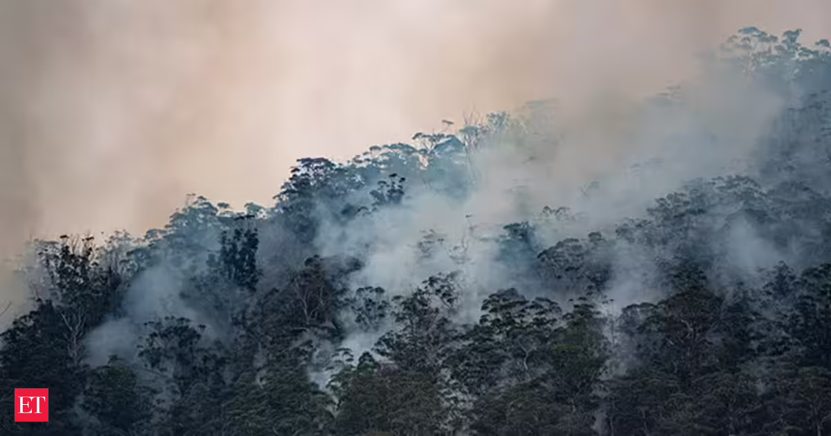 Climate change threatens global plant species as habitats shrink