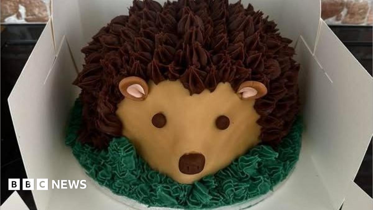 The volunteers baking birthday cakes for children