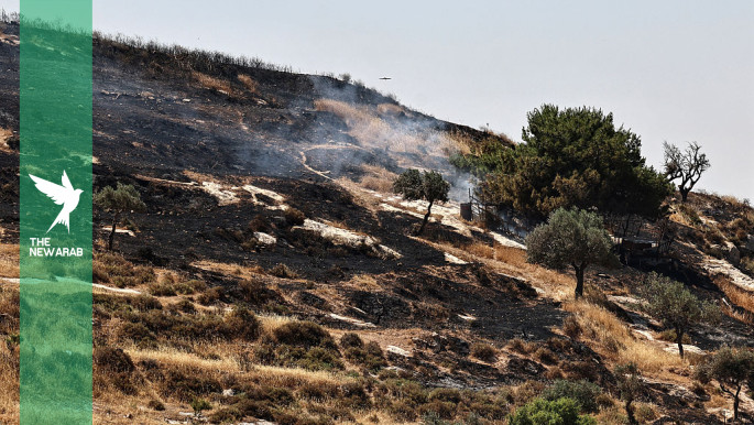 Israeli settlers torch fields near Palestinian Christian village Taybeh in occupied West Bank