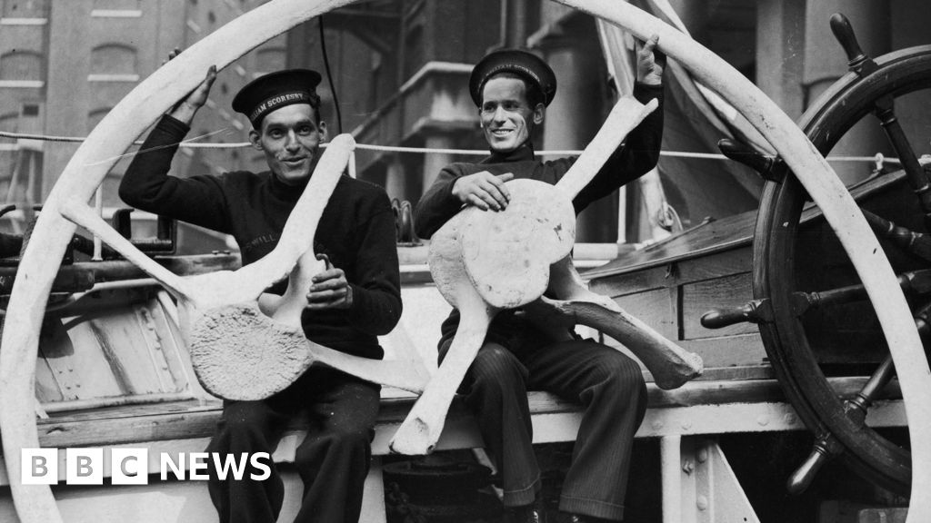 How forgotten voyages helped track El Nino