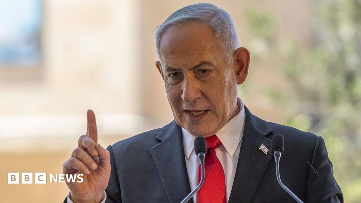 Netanyahu says Flydubai attacker had 'Islamist radical indoctrination'