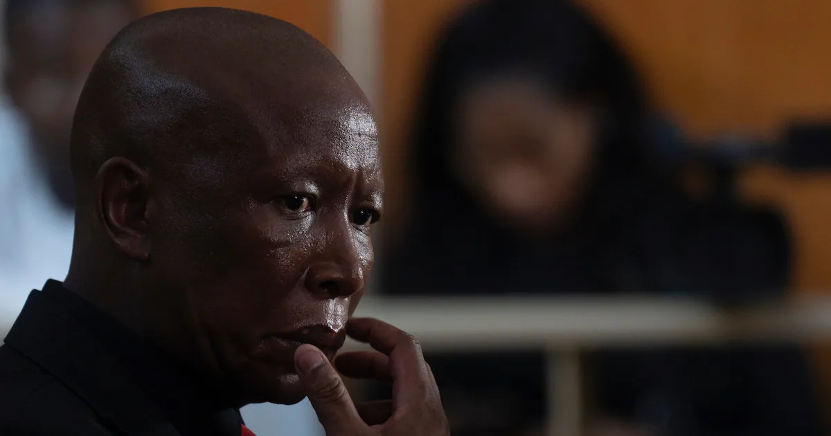 South African politician Julius Malema jailed for 5 years for firing rifle shots at rally