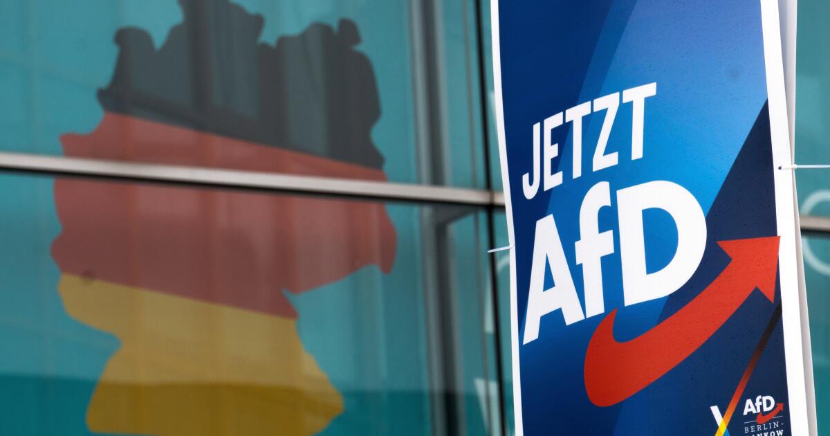 German court says intelligence agency can't designate the AfD party an ... 