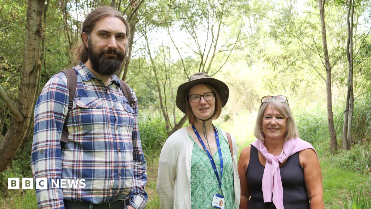 Wildlife and access boost planned for city park