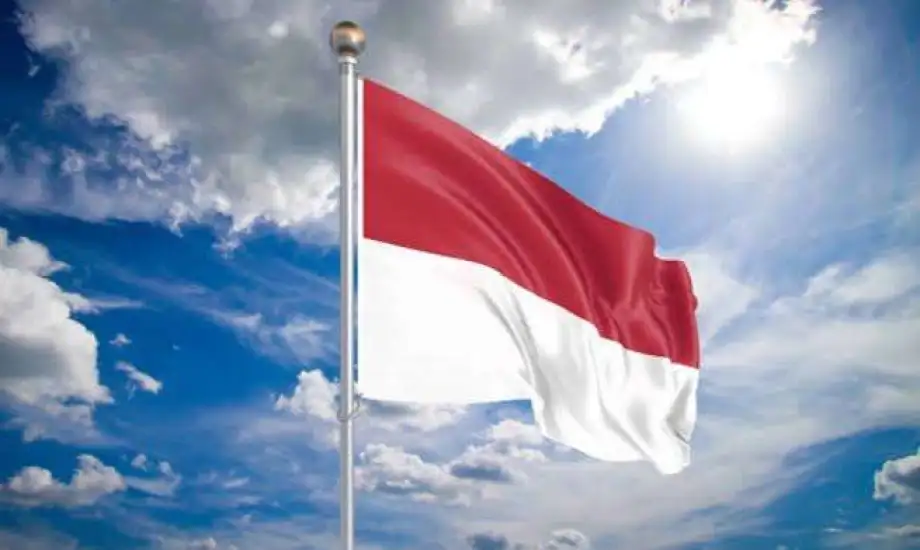 US, Indonesia discussing proposal allowing US military overflight in Indonesian airspace, defence ministry