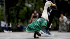 Meet Merlin the Duck: Mexico's World Cup 'ambassador'
