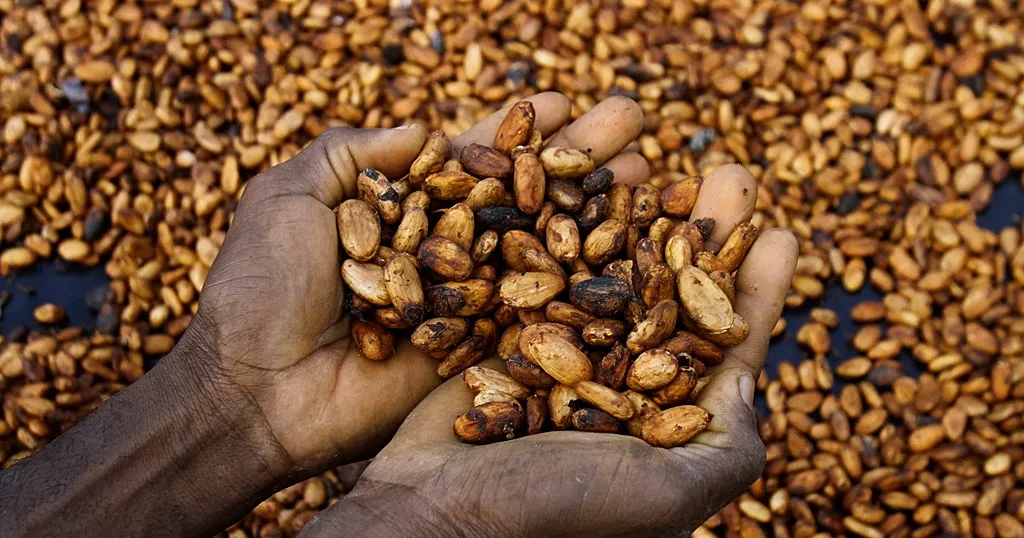 Ghana's cocoa crisis deepens as buyers owe banks $750 Million