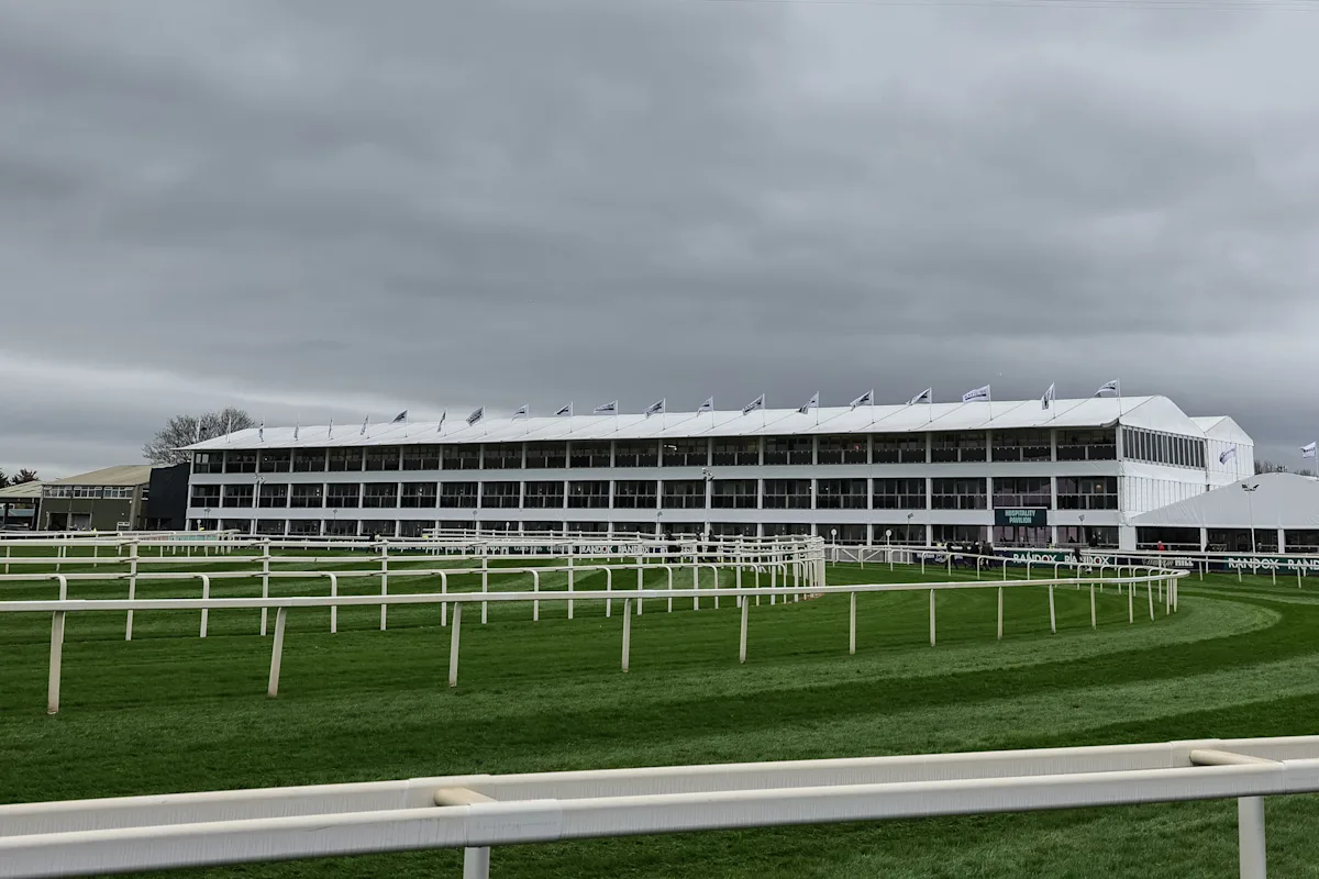 Grand National pinstickers' guide to runners