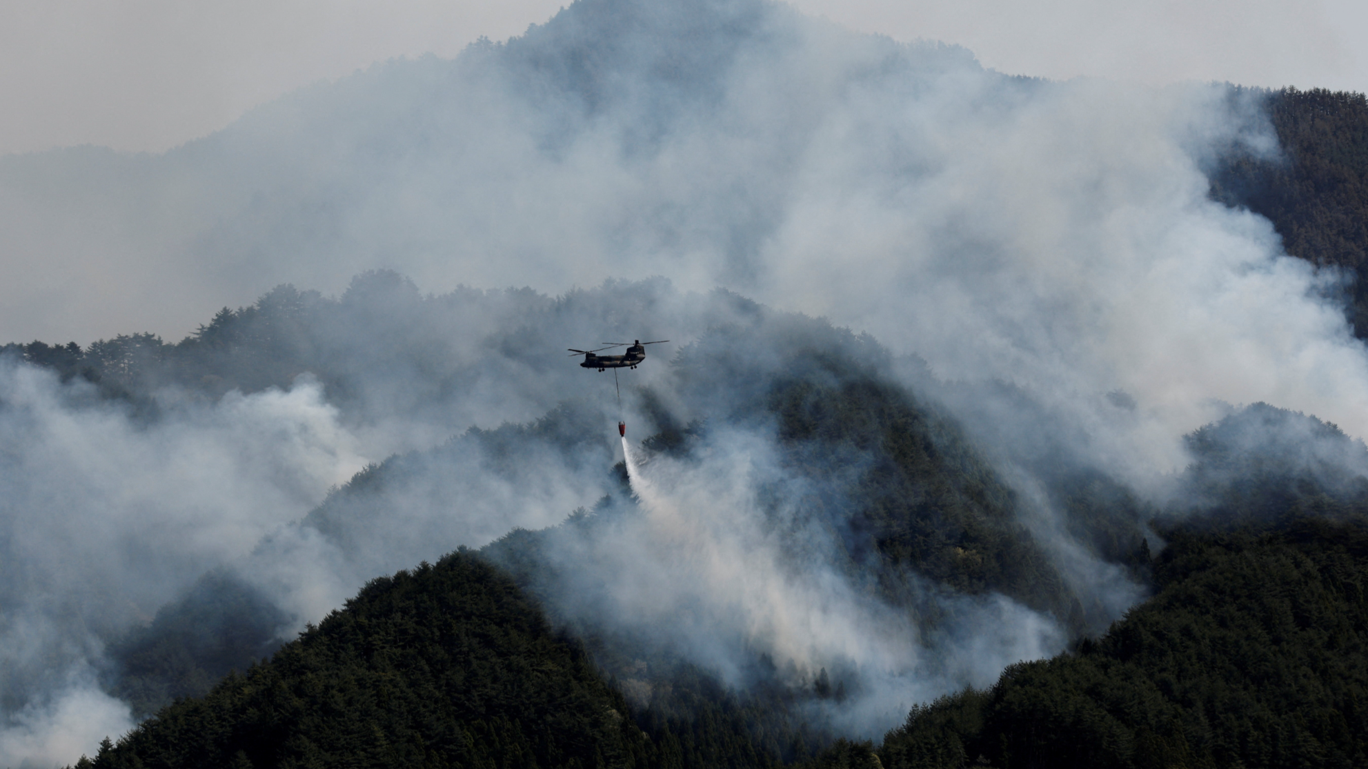 Scientists: Global fire hit record high as 'unprecedented' heat extremes loom