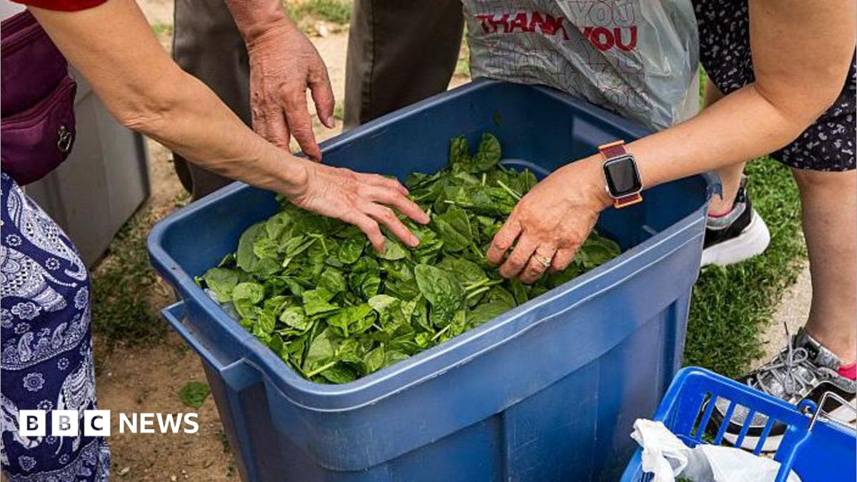 Using a bathroom 20 times a day - life in the middle of US cyclospora outbreak