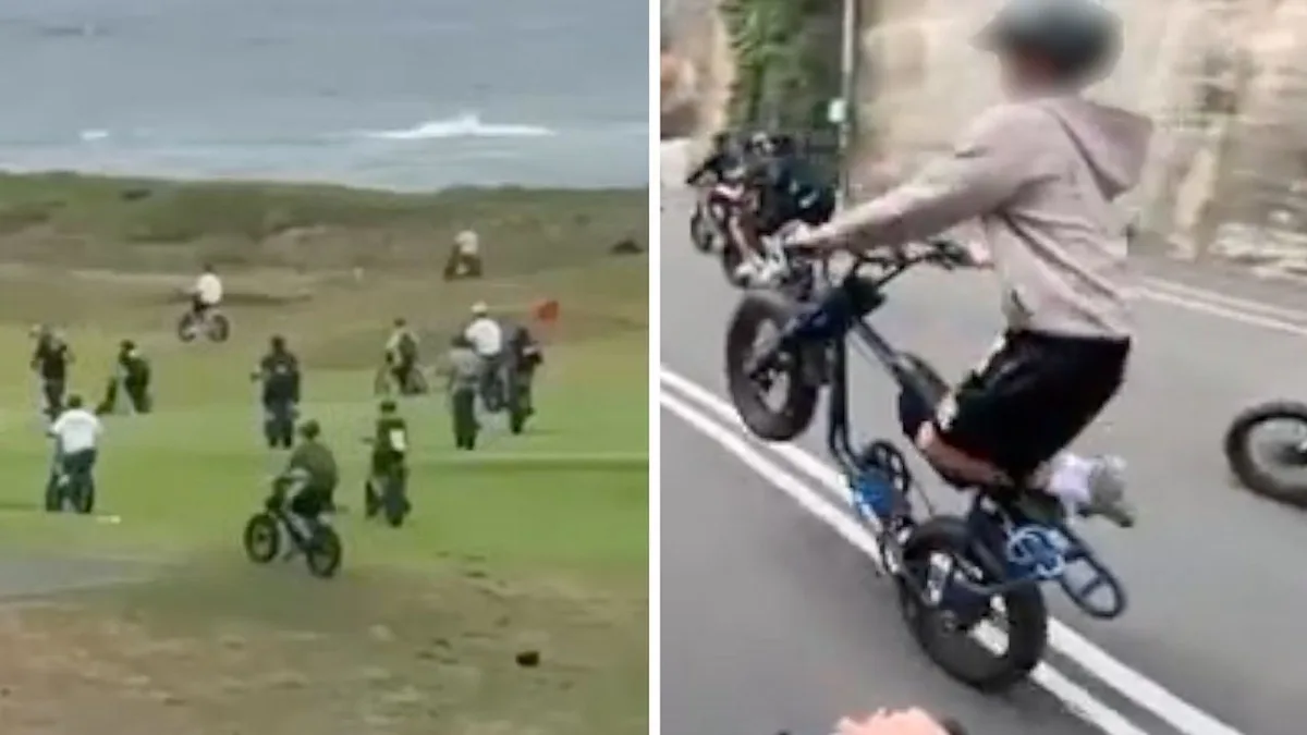 Fatbikes are wreaking havoc in Sydney's wealthy beach suburbs