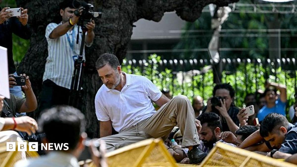 Indian opposition MPs detained in protest against election chief