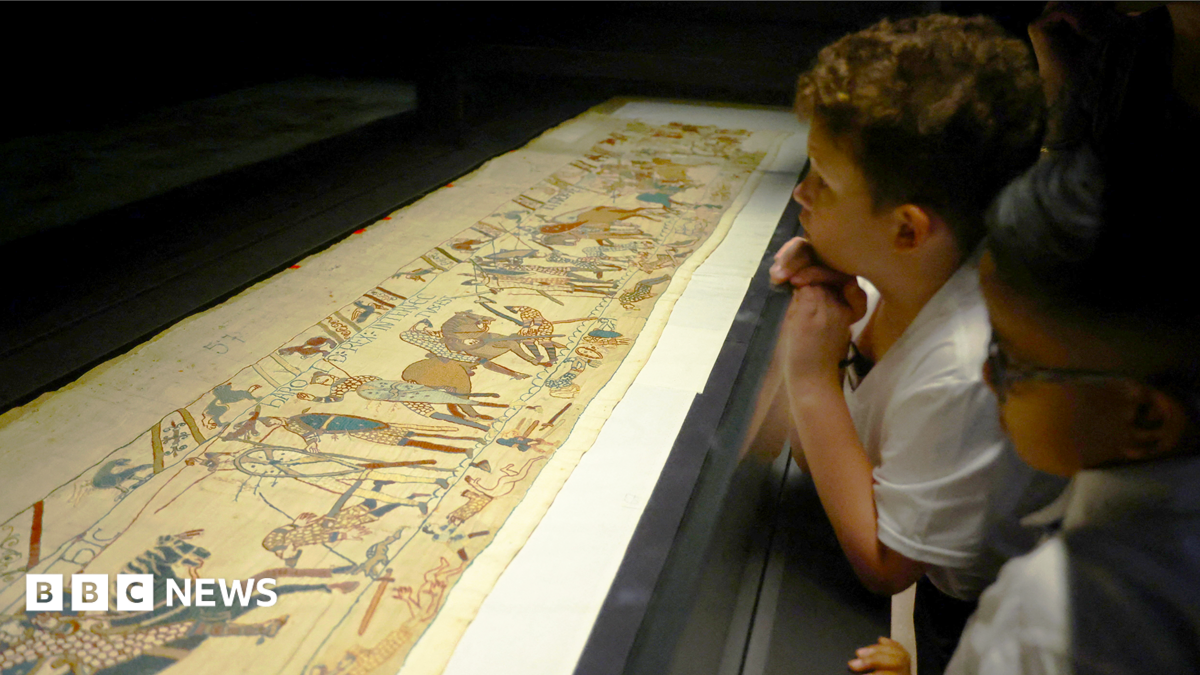 British Museum boss 'sorry' for Bayeux Tapestry visitor issues