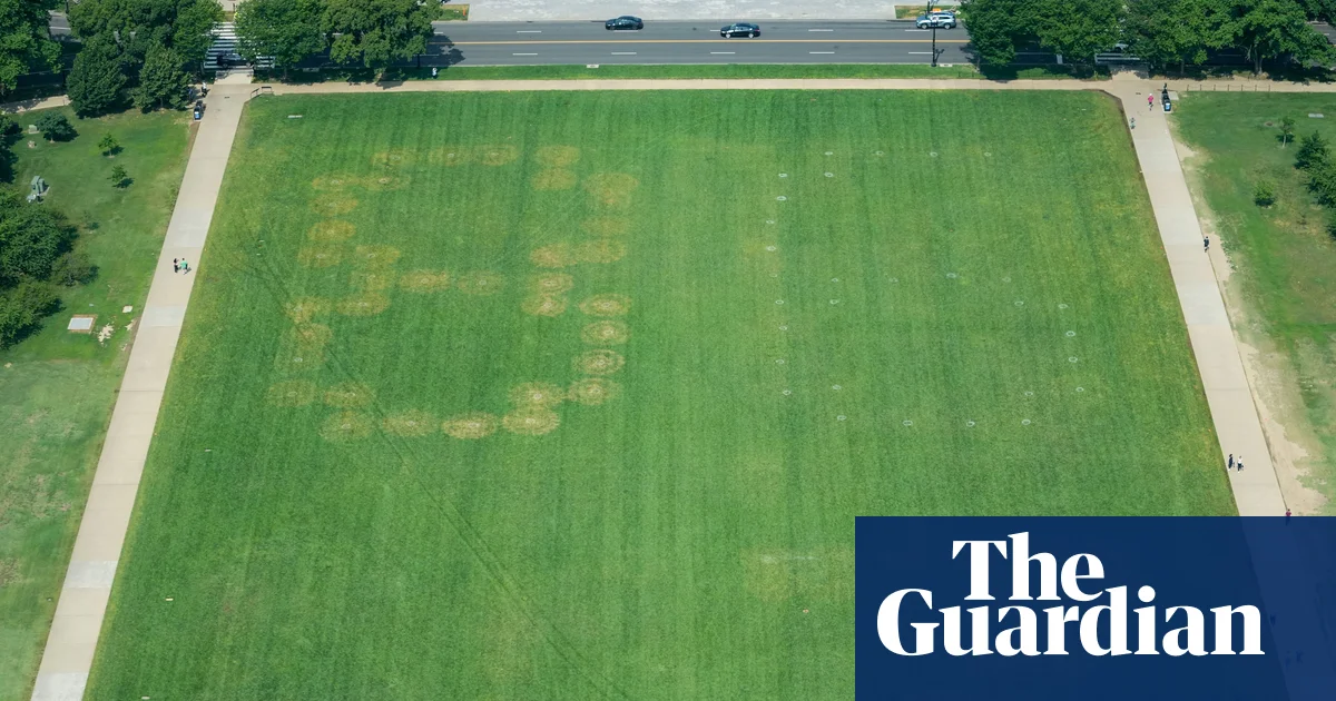 US authorities investigate huge etching of ‘8647’ on National Mall grounds