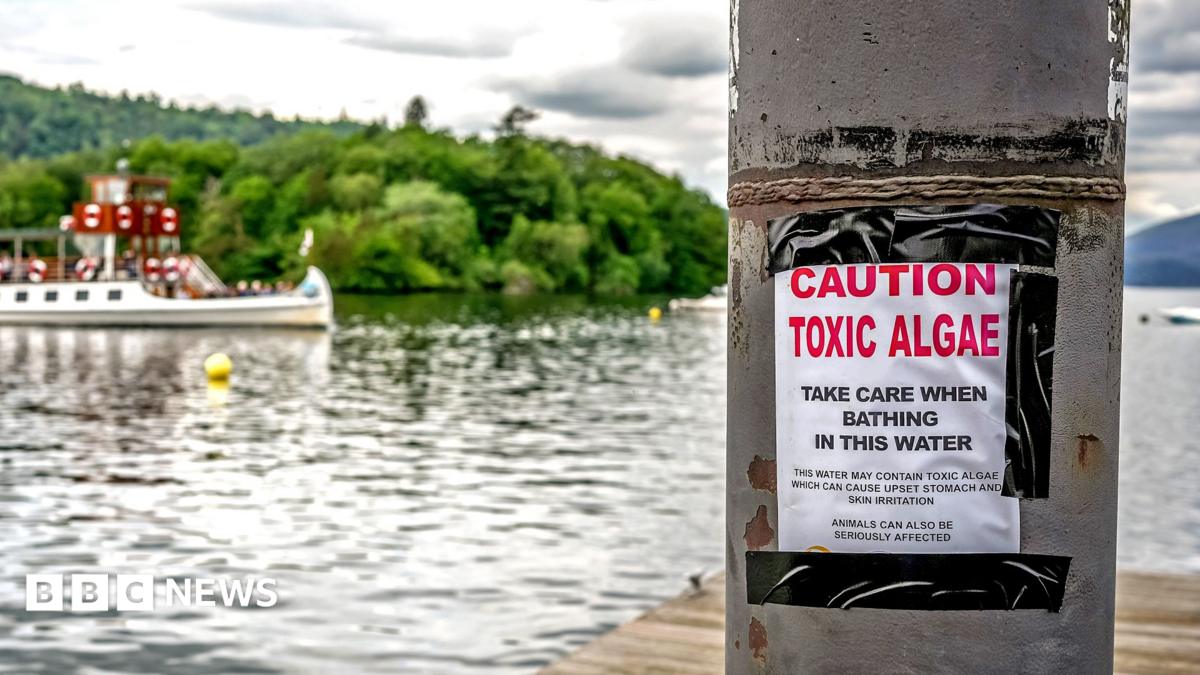 Majority of England's rivers and lakes fail new environmental review