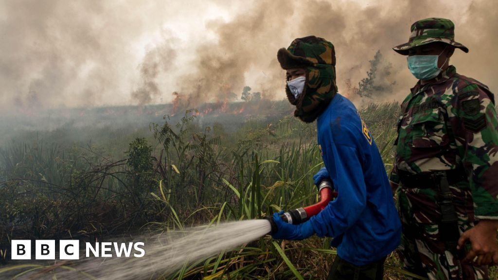 What is El Niño and why could it mean record temperatures?