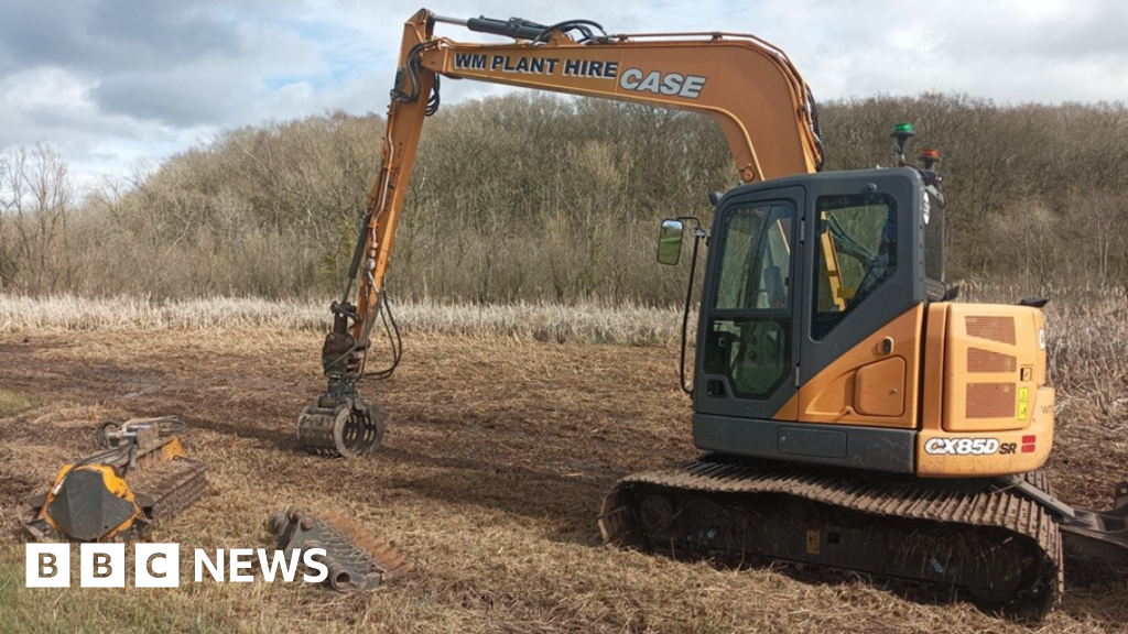 More cash to tackle willow threat at wetland