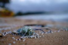 Tiny plastic particles in sewage can carry viruses and drug-resistant bacteria into the sea, new research warns