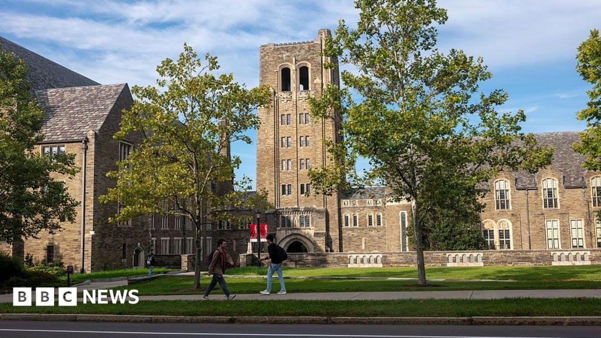 Cornell frat house rape accuser 'under siege' online, says lawyer