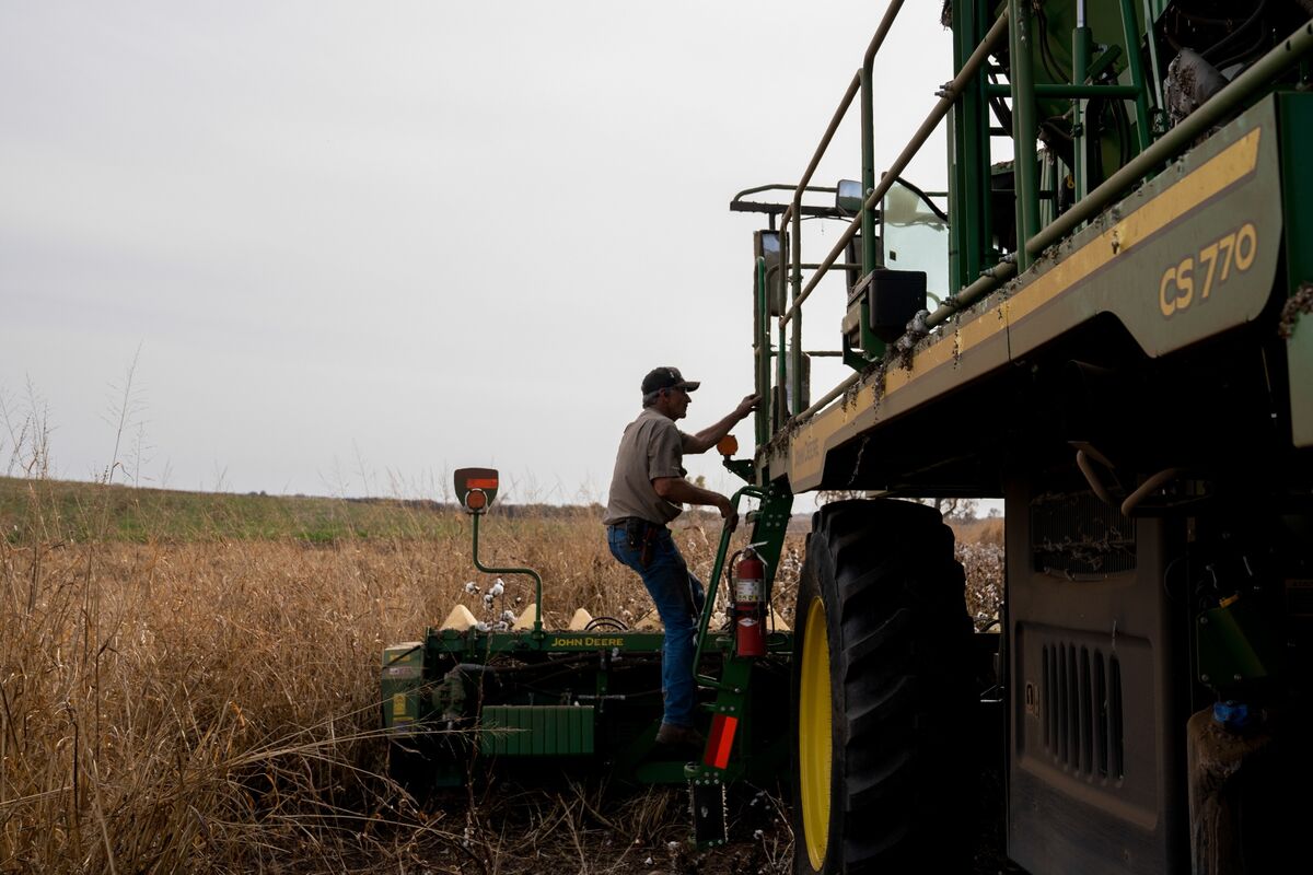 El Niño Odds Rise as Storm and Crop Threats Intensify Globally