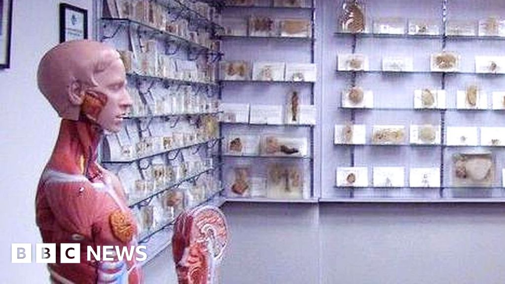 Tasmanian government apologises over stolen body parts scandal