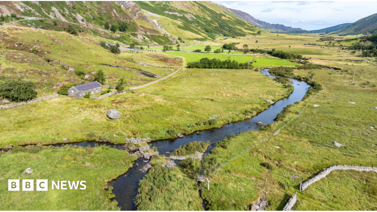 Species 'at risk of vanishing' from area of Wales' largest national park