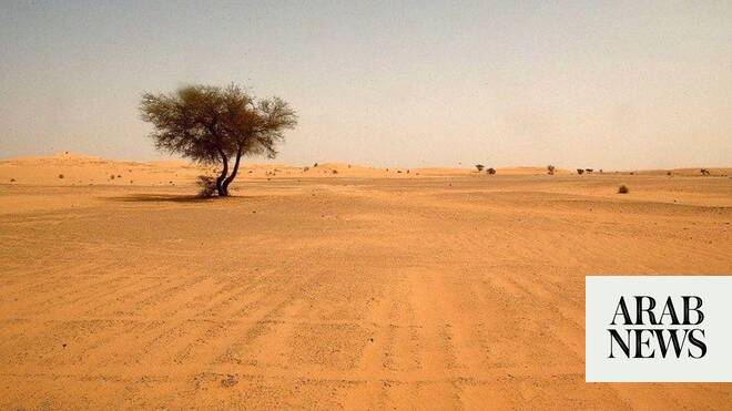 49 die of thirst in Niger desert after truck breaks down