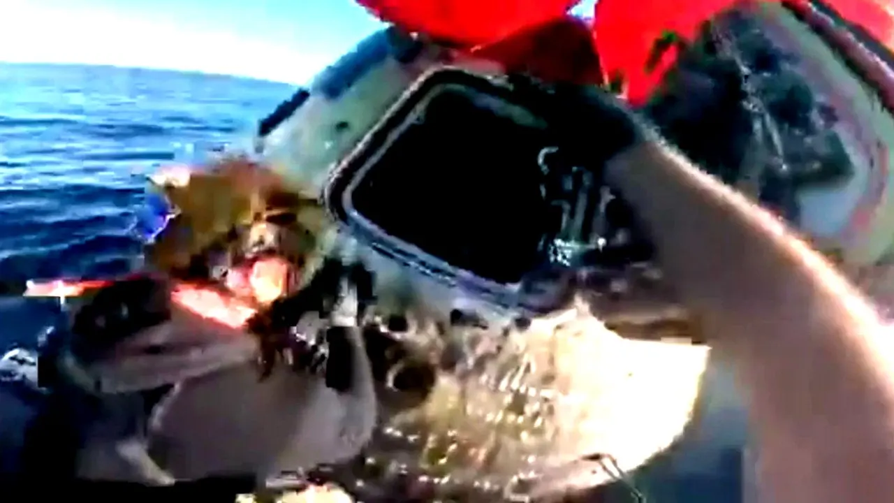 New Artemis II video shows moment Navy medical team opened hatch, welcomed astronauts