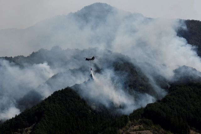 Global fire outbreaks hit record high as ‘unprecedented’ heat extremes loom, scientists say