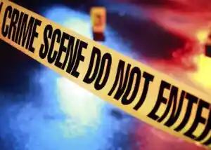 Remains of 50 babies, 6 adults found at Trinidad and Tobago cemetery